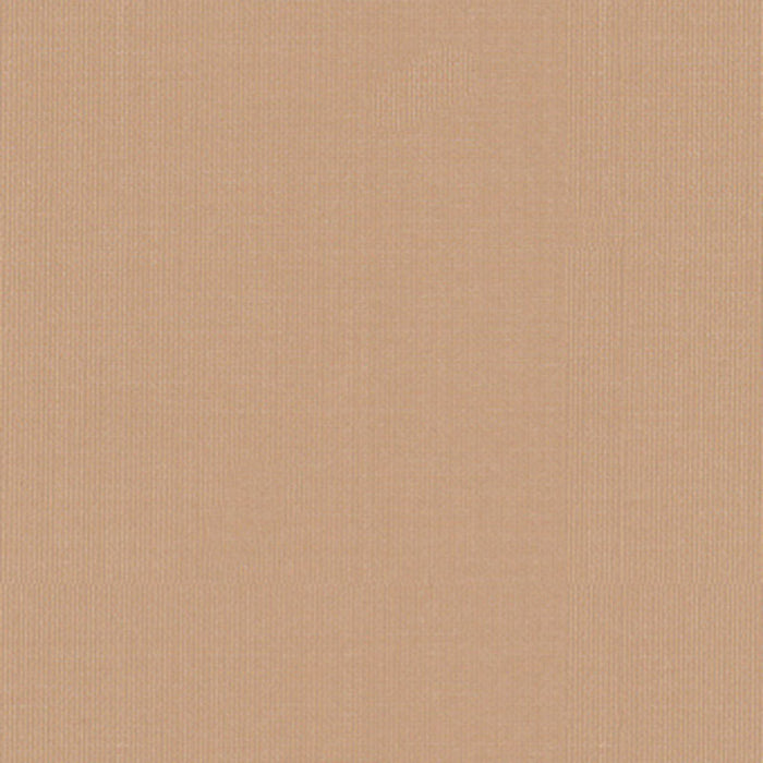 Schumacher Sargent Silk Taffeta Buff Fabric Sample 22680