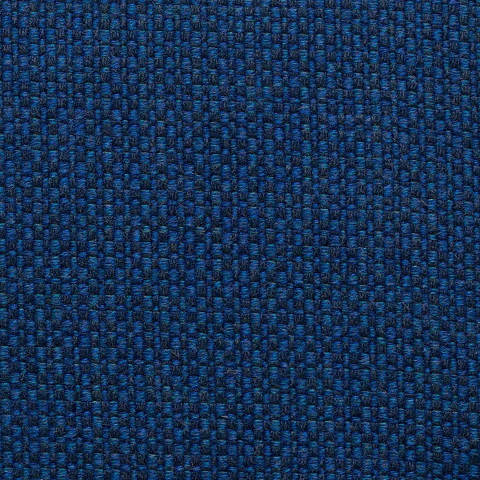 Holly Hunt Great Plains Get in Line Carrera Fabric 1227/02