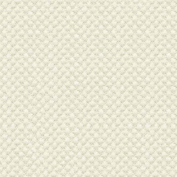 Kravet Design 25807 1 Fabric Sample 25807.1.0