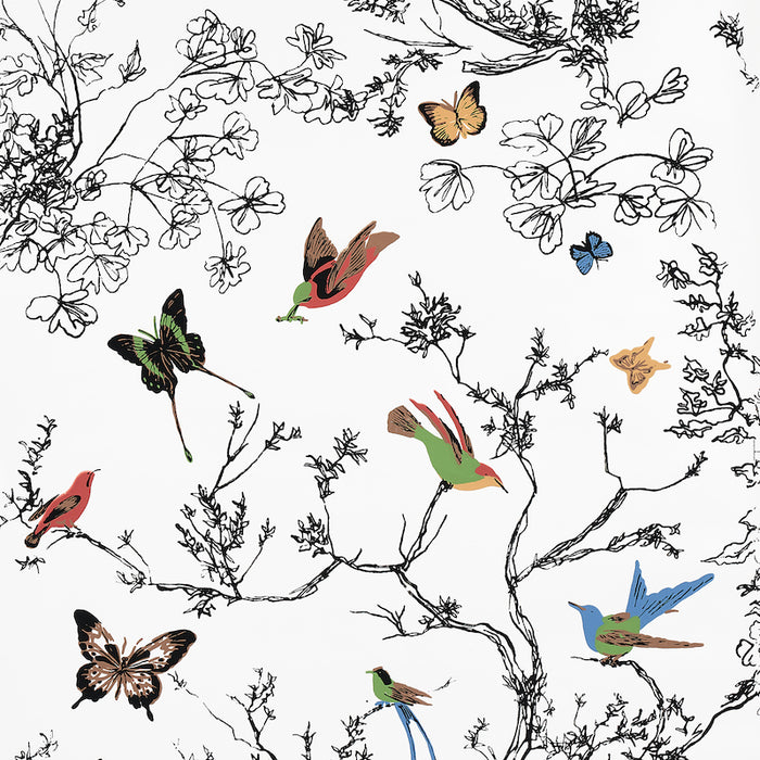 Schumacher Birds & Butterflies Multi On White Wallpaper 2704420