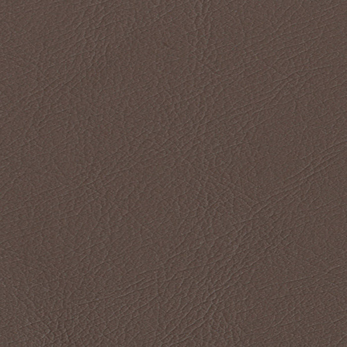 Schumacher Ultraleather Fudge Fabric Sample 291-3666