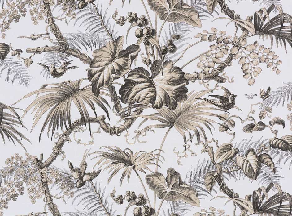 Braquenie La Perouse Graphique Wallpaper Sample BP321001