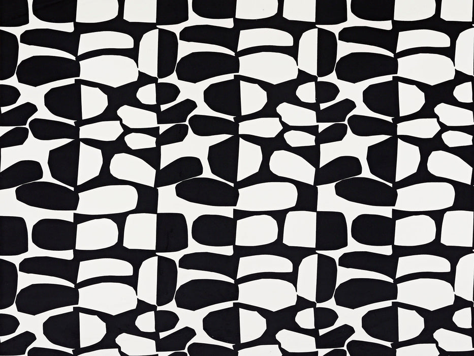 Pierre Frey Small Surprise Noir & Blanc Fabric F3486001