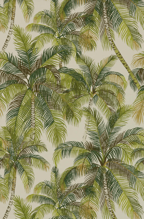 Pierre Frey Tampa Palmeraie Wallpaper Sample FP565001