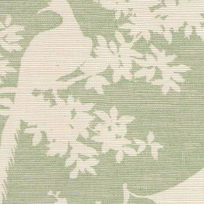 Quadrille Paradise Background Celadon Wallpaper Sample 301980R-CELA