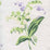 Quadrille Lilies Of The Valley Greens Lavender Fabric Sample 302760S-01