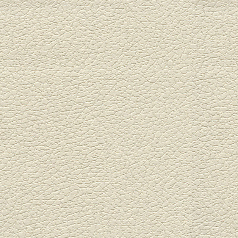 Schumacher Brisa Birch Fabric 303-3019