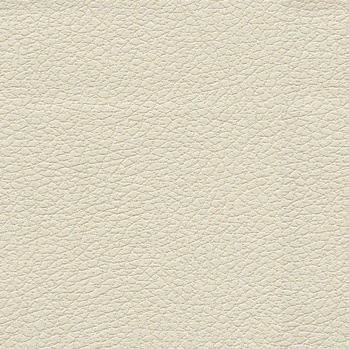 Schumacher Brisa Birch Fabric 303-3019