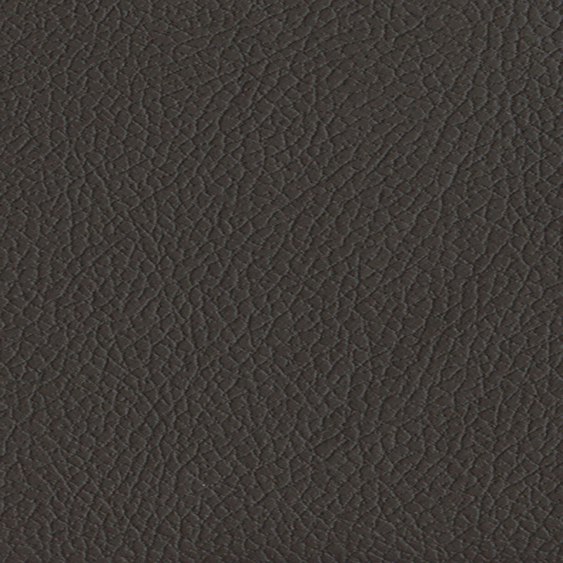 Schumacher Brisa Coffee Bean Fabric 303-3023