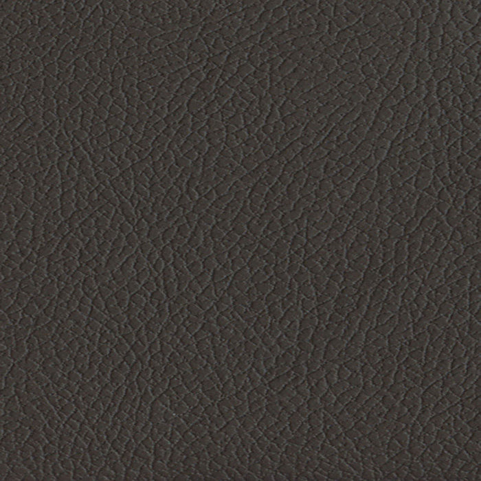 Schumacher Brisa Coffee Bean Fabric Sample 303-3023