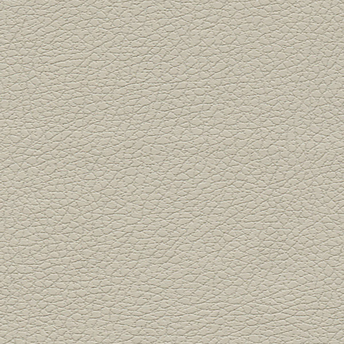 Schumacher Brisa Bone Fabric 303-3822