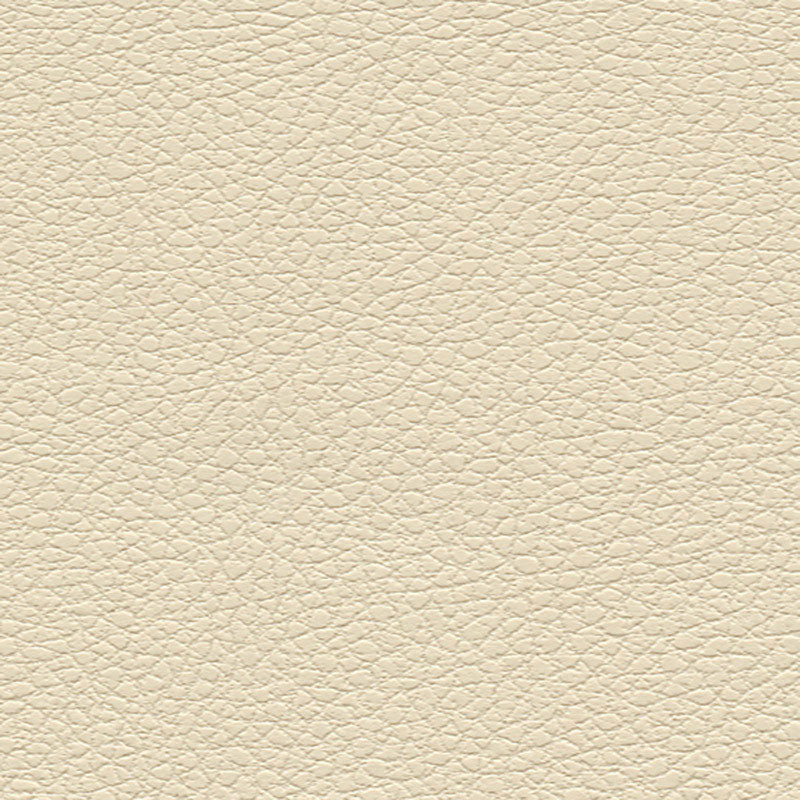 Schumacher Brisa Cream Fabric 303-3863