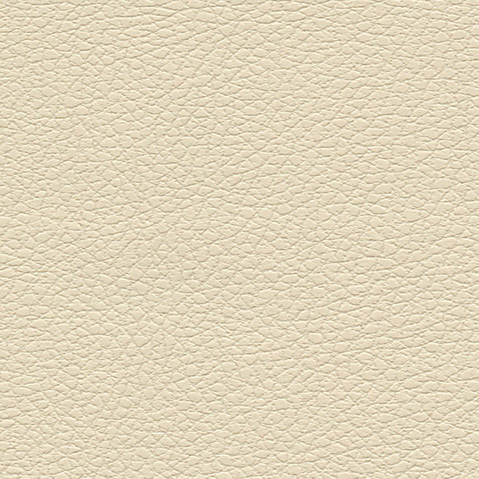 Schumacher Brisa Cream Fabric Sample 303-3863