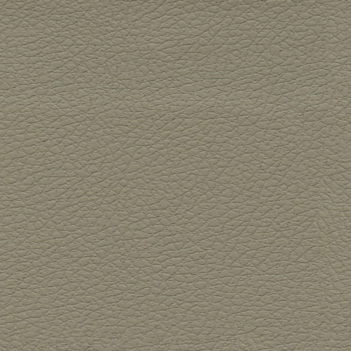 Schumacher Brisa Fedora Fabric Sample 303-3915