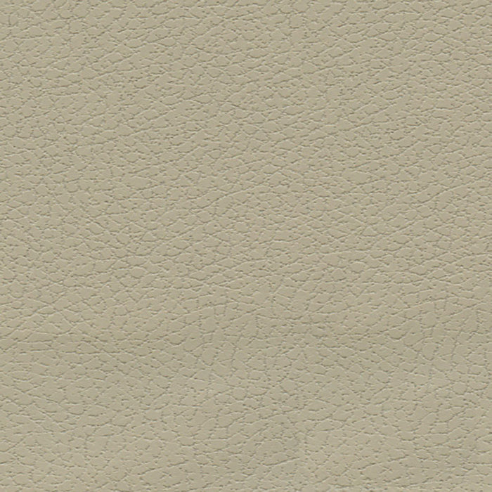 Schumacher Brisa Sand Fabric Sample 303-3946