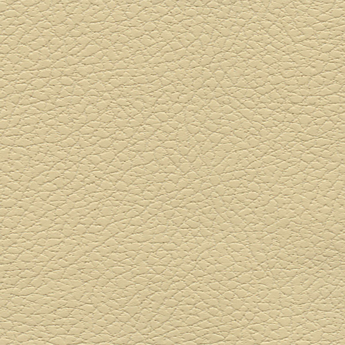 Schumacher Brisa Camel Fabric Sample 303-3960