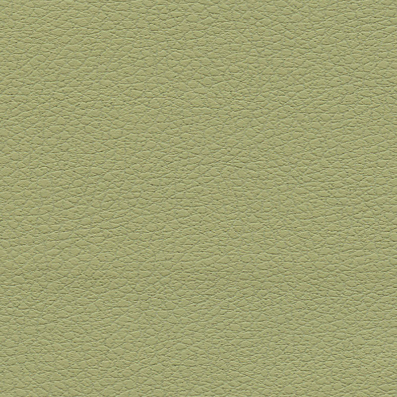 Schumacher Brisa Celery Fabric 303-4510