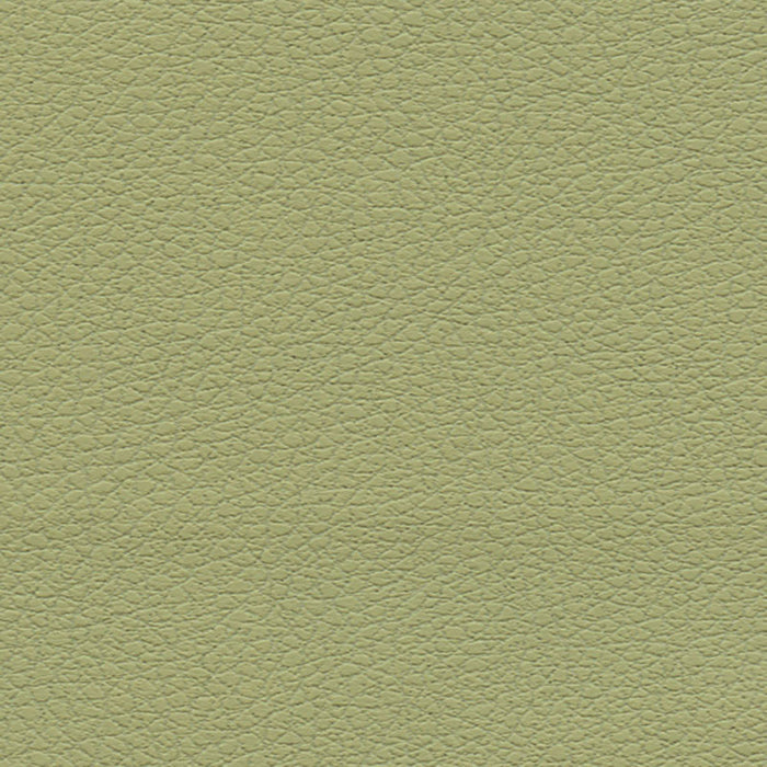 Schumacher Brisa Celery Fabric 303-4510