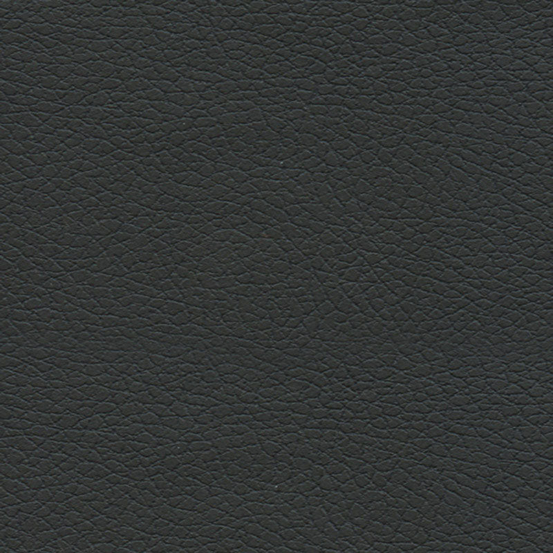 Schumacher Brisa Black Onyx Fabric Sample 303-5749