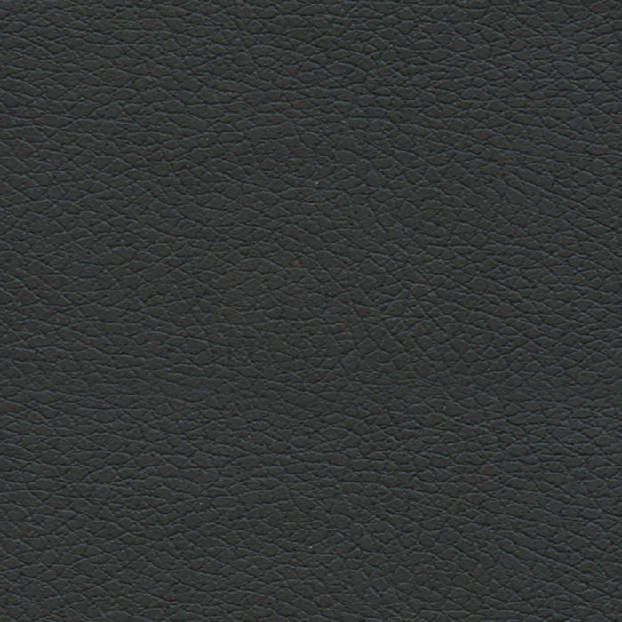 Schumacher Brisa Black Onyx Fabric Sample 303-5749