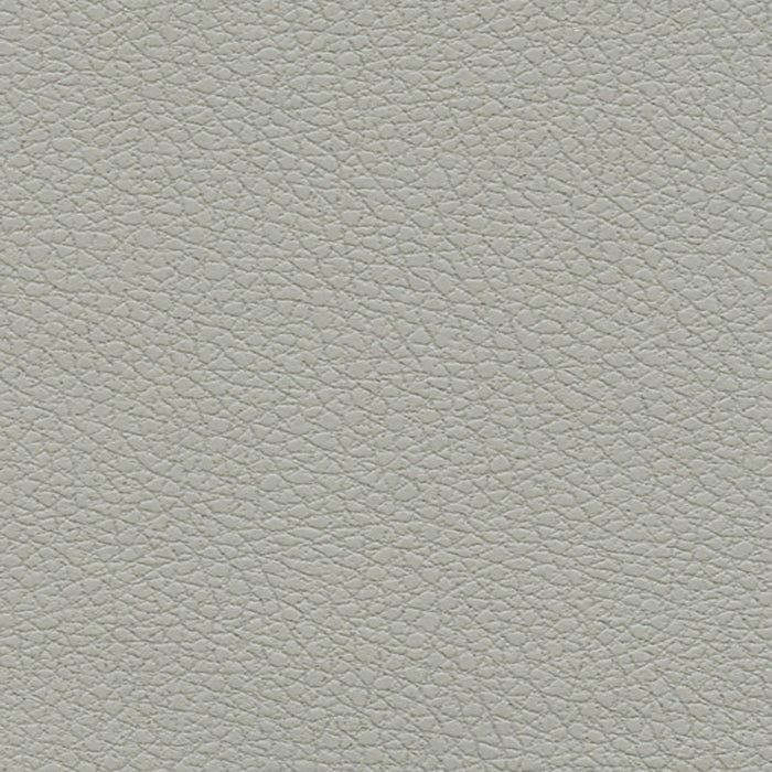 Schumacher Brisa Quicksilver Fabric Sample 303-5820