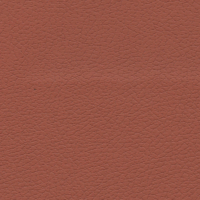 Schumacher Brisa Cinnabar Fabric 303-8245