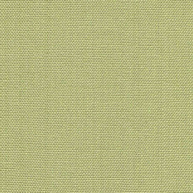 Kravet Basics Watermill Lichen Fabric Sample 30421.23.0