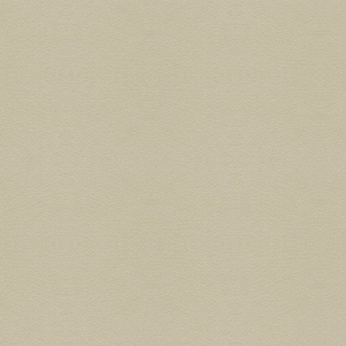 Kravet Design Ultrasuede Green Chino Fabric Sample 30787.111.0