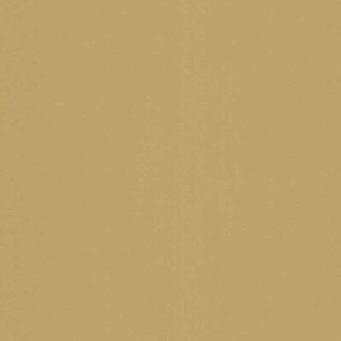 Kravet Basics Sarasota Toast Fabric Sample 32339.1416.0