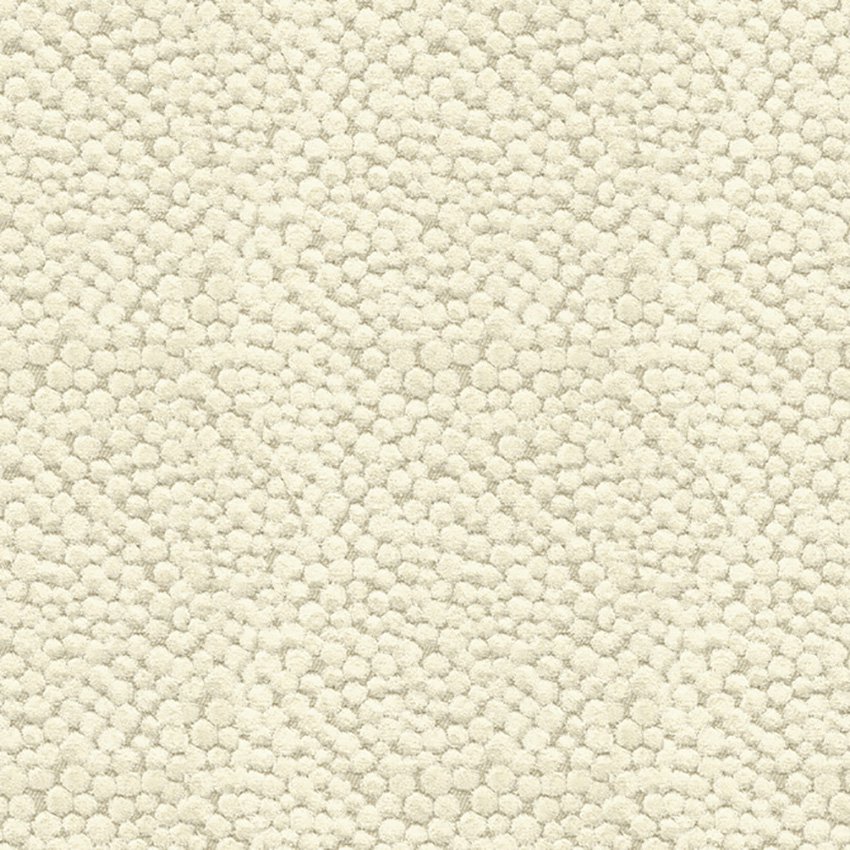 Kravet Couture Polka Dot Plush Natural Fabric Sample 32972.1116.0