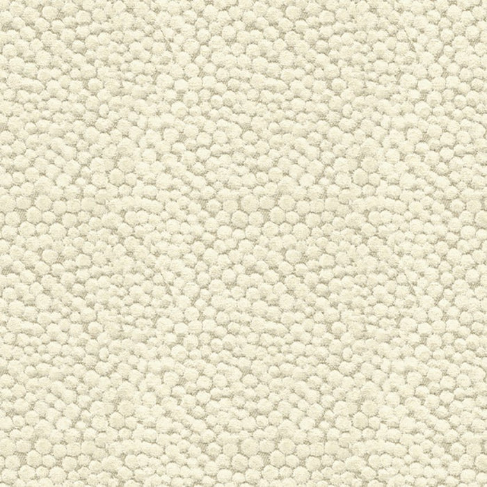 Kravet Couture Polka Dot Plush Natural Fabric Sample 32972.1116.0