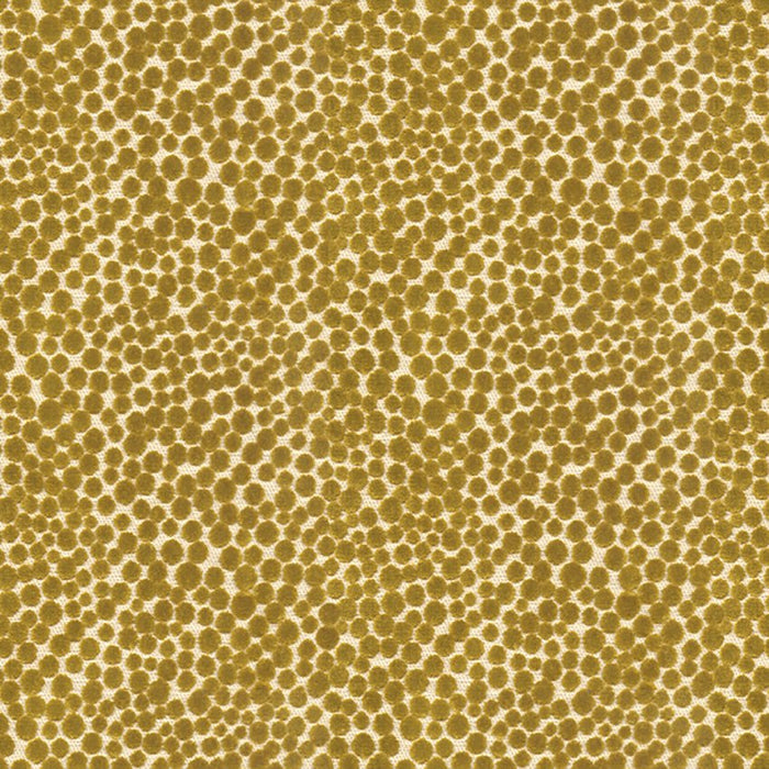 Kravet Couture Polka Dot Plush Quince Fabric Sample 32972.23.0