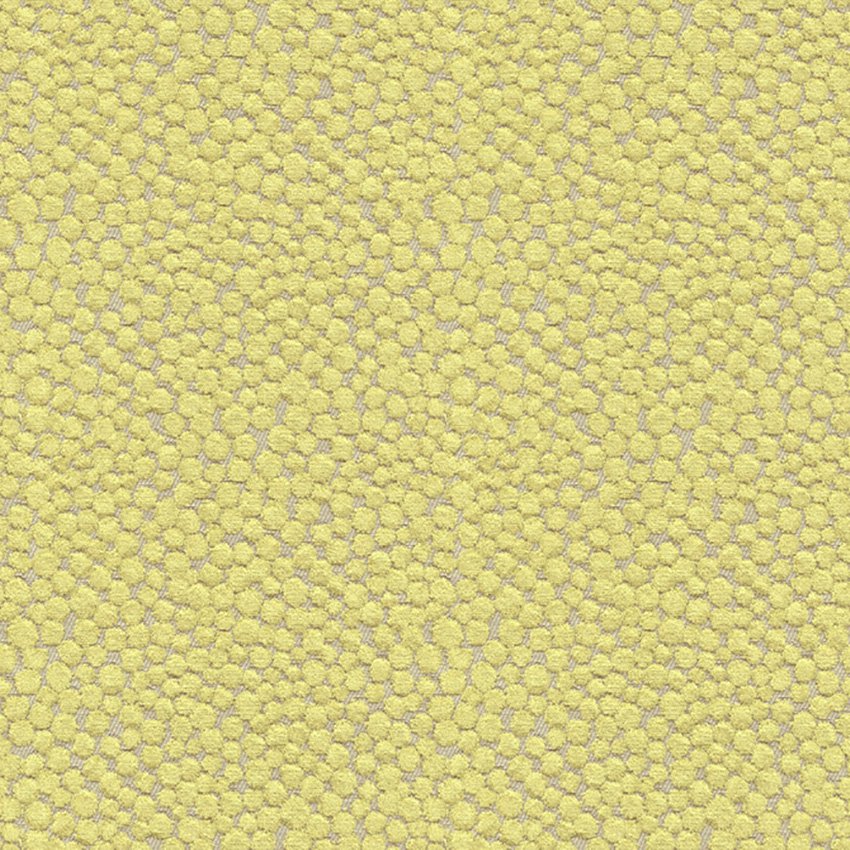 Kravet Couture Polka Dot Plush Wasabi Fabric Sample 32972.323.0