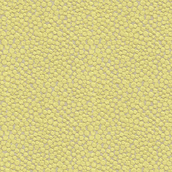 Kravet Couture Polka Dot Plush Wasabi Fabric Sample 32972.323.0