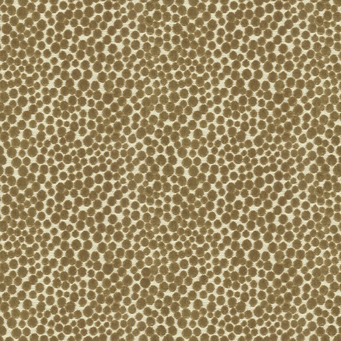 Kravet Couture Polka Dot Plush Falcon Fabric Sample 32972.66.0