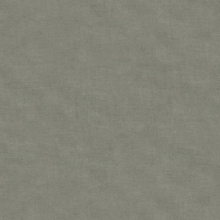 Brunschwig & Fils Charmant Velvet Pewter Fabric Sample 8013150.11.0