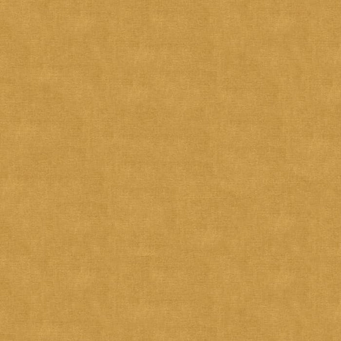 Brunschwig & Fils Charmant Velvet Beige Fabric Sample 8013150.404.0