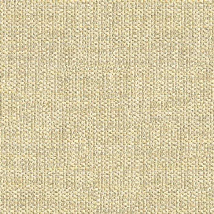 Kravet Couture Do The Hustle Platinum Fabric Sample 33443.411.0