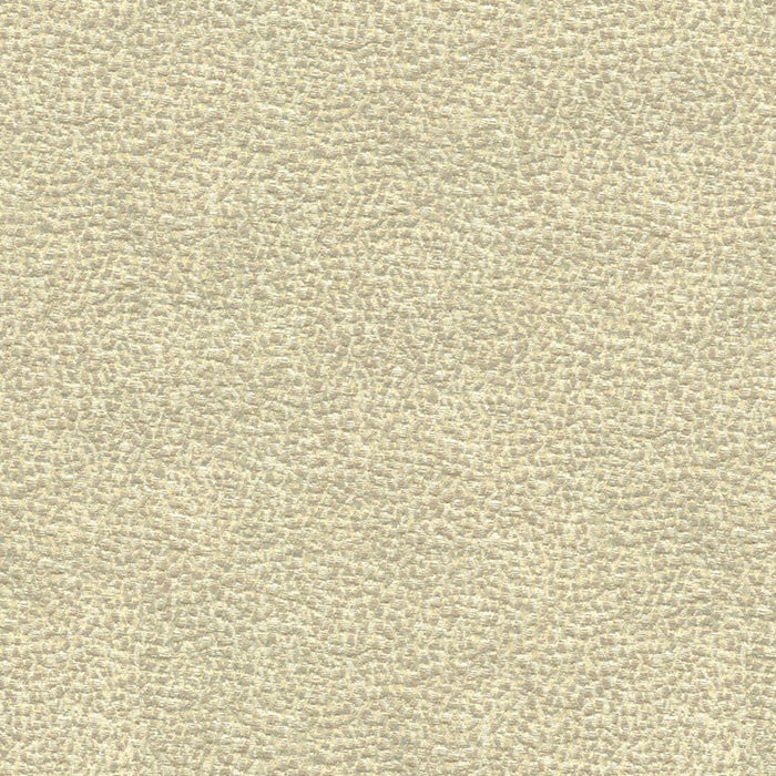 Kravet Couture Shagreen Luxury Platinum Fabric Sample 33456.11.0