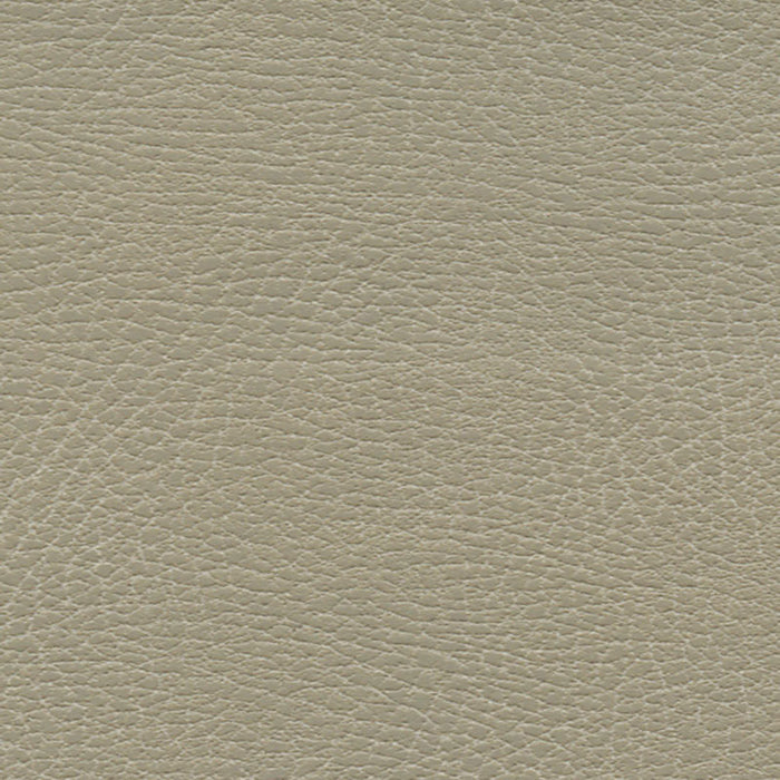 Schumacher Brisa Distressed Dune Fabric Sample 335-3869