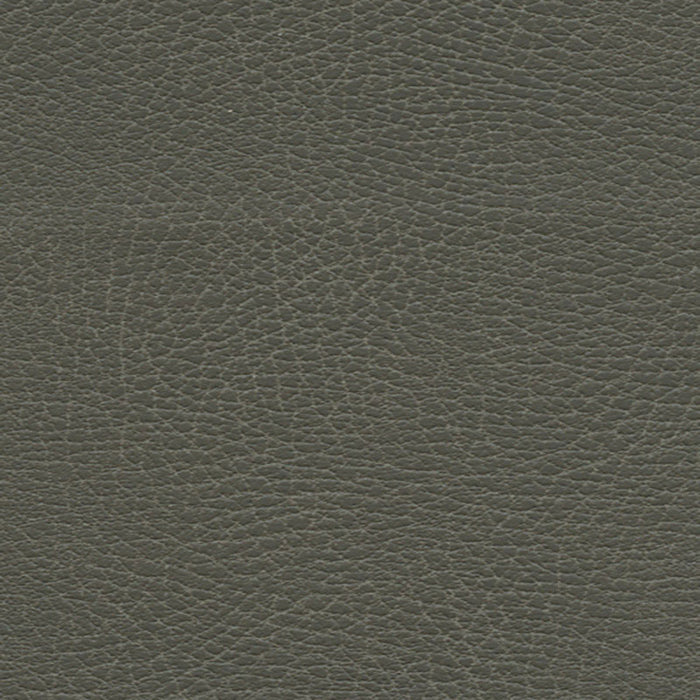 Schumacher Brisa Distressed Elephant Fabric Sample 335-3870