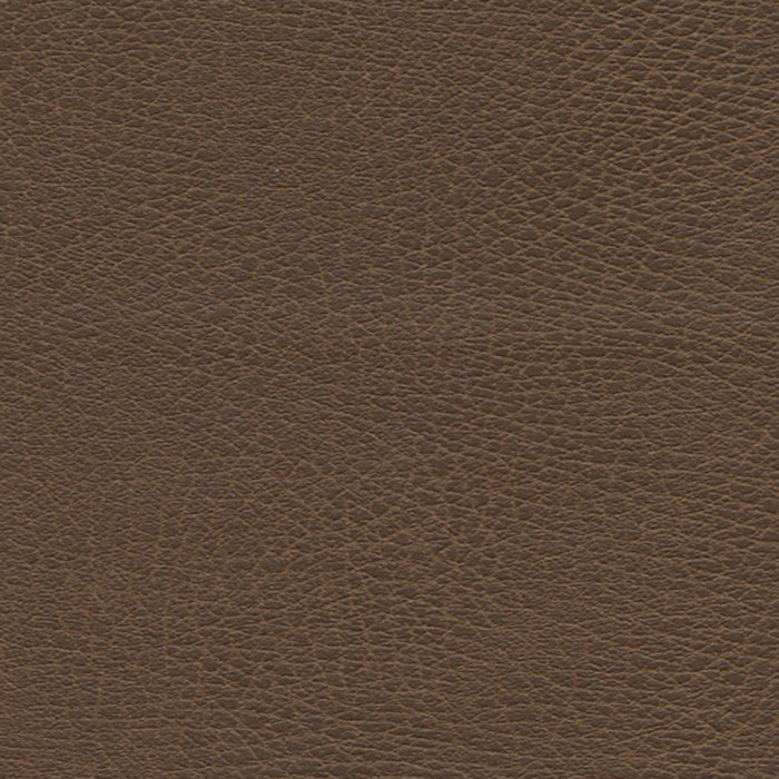 Schumacher Brisa Distressed Bridle Fabric Sample 335-3976