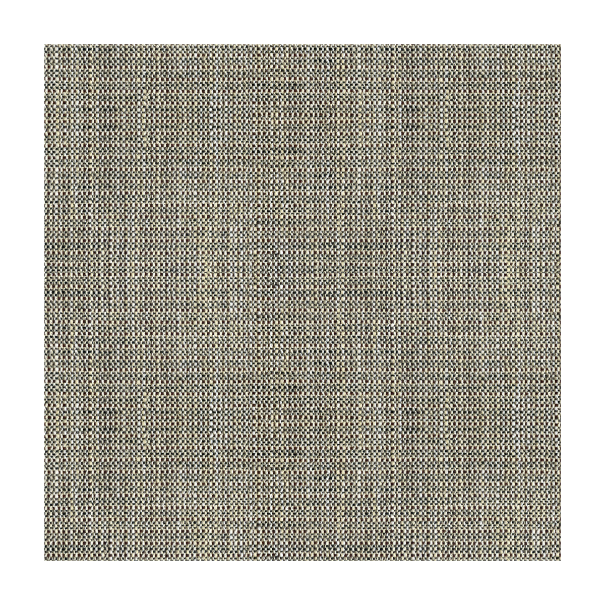 Kravet Basics Rafael Coal Fabric Sample 33788.81.0