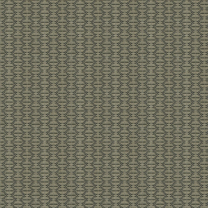 Kravet Contract Nzuri Thunder Fabric Sample 33862.1621.0