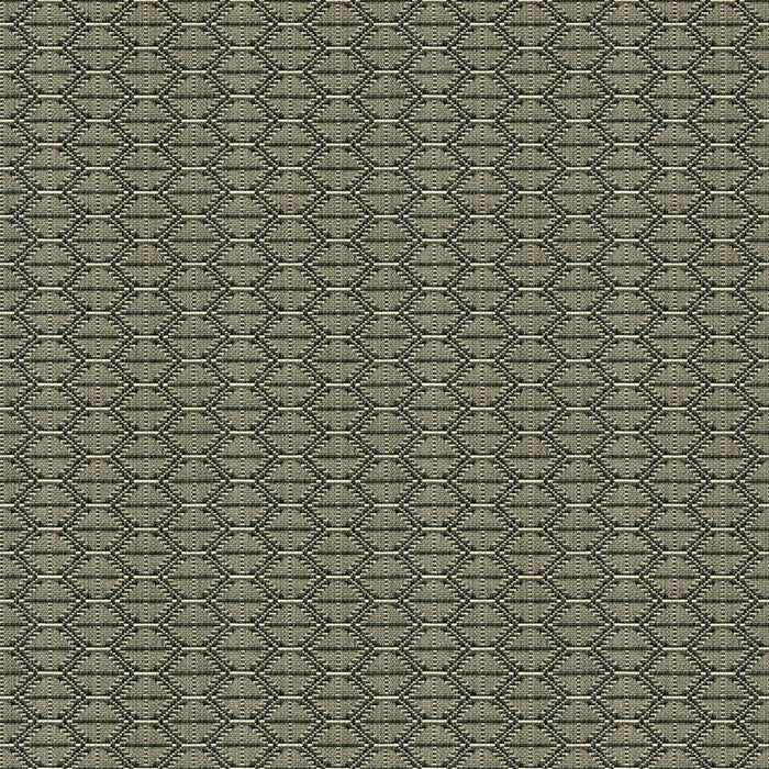 Kravet Design 33880 1621 Fabric Sample 33880.1621.0