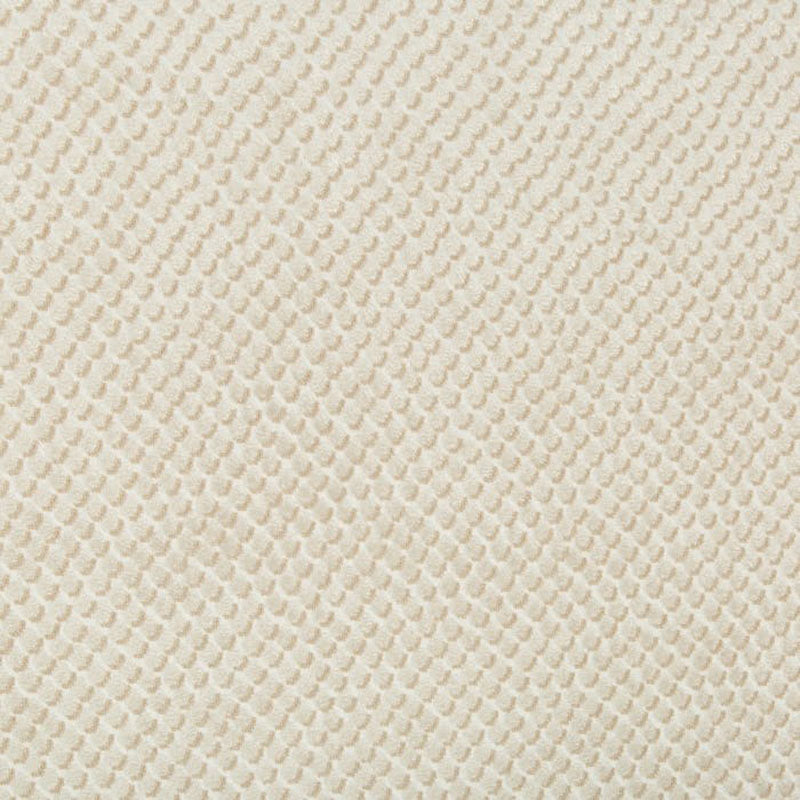 Kravet Design Mazzy Dot Parchment Fabric Sample 34051.16.0