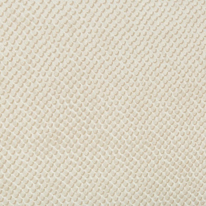 Kravet Design Mazzy Dot Parchment Fabric Sample 34051.16.0