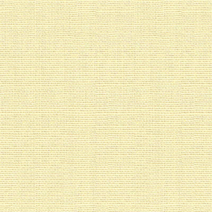 Kravet Design Enjoy Ecru Fabric Sample 34643.1011.0