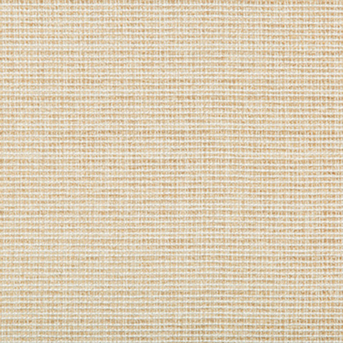 Kravet Basics Saddlebrook Sand Fabric Sample 35345.16.0