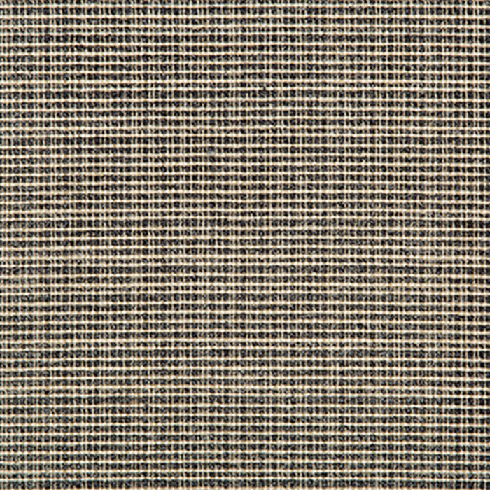 Kravet Basics Saddlebrook Charcoal Fabric Sample 35345.816.0